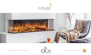 CELSI DLX Issue 2